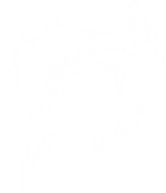 Centro de Buceo Mirafondos - Las Palmas